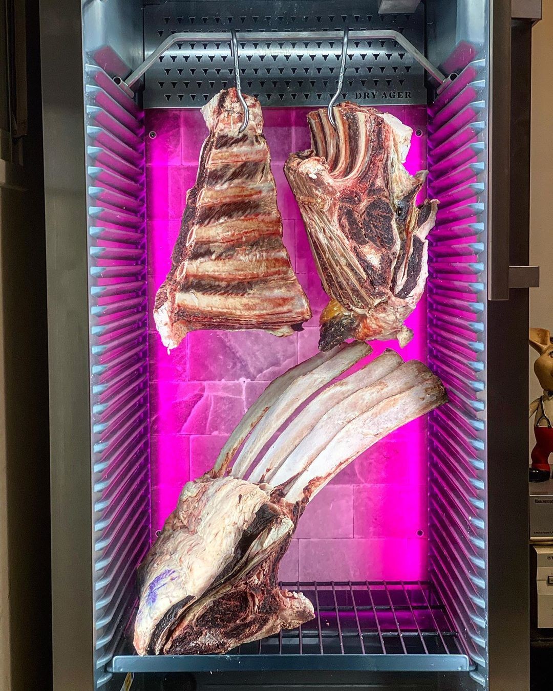 Dry Aged Fridge, No.1 WORLDWIDE